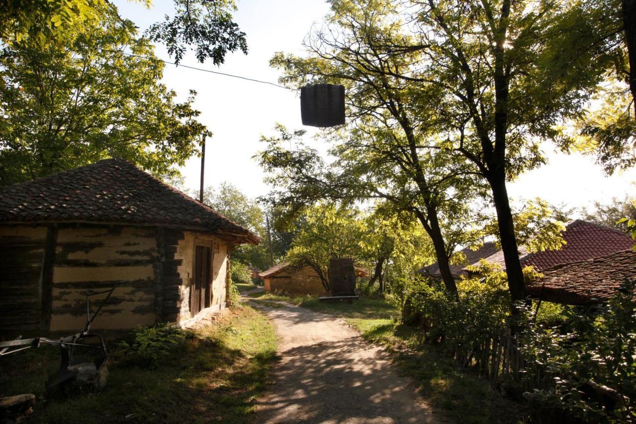 "Pivnica I Smestaj Jovanovic"- Rogljevacke Pivnice Rogljevo Zewnętrze zdjęcie