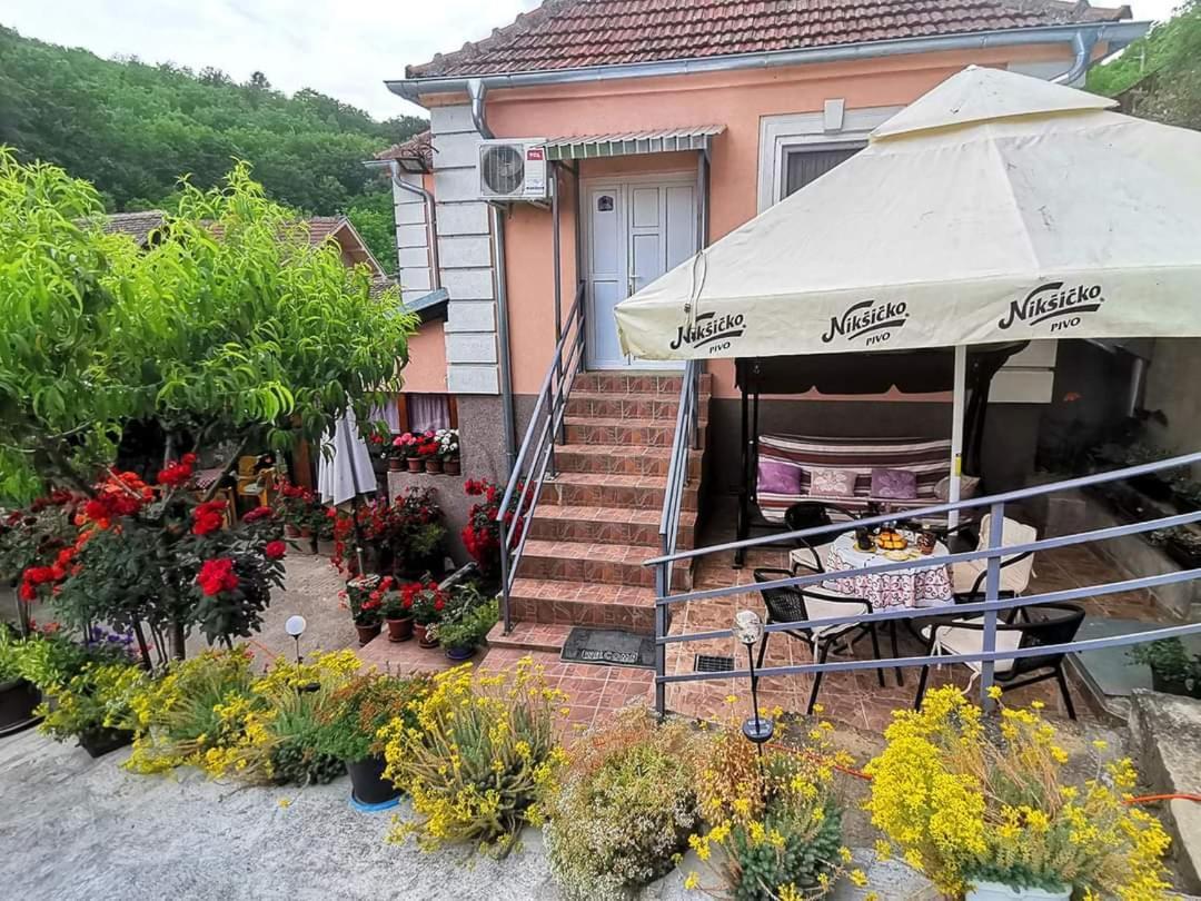 "Pivnica I Smestaj Jovanovic"- Rogljevacke Pivnice Rogljevo Zewnętrze zdjęcie